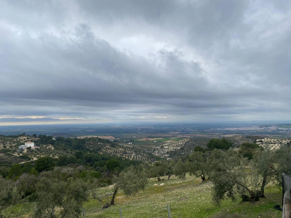 Vina Zarzarrosa Osuna Exteriér fotografie