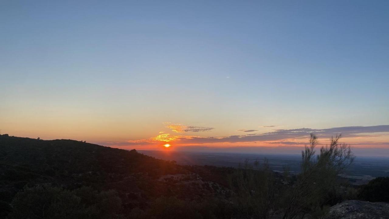 Vina Zarzarrosa Osuna Exteriér fotografie