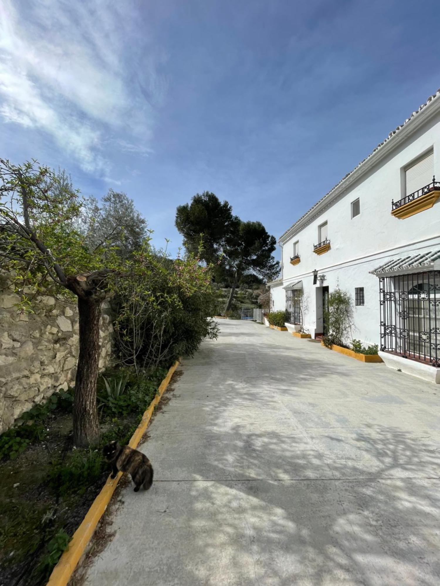 Vina Zarzarrosa Osuna Exteriér fotografie