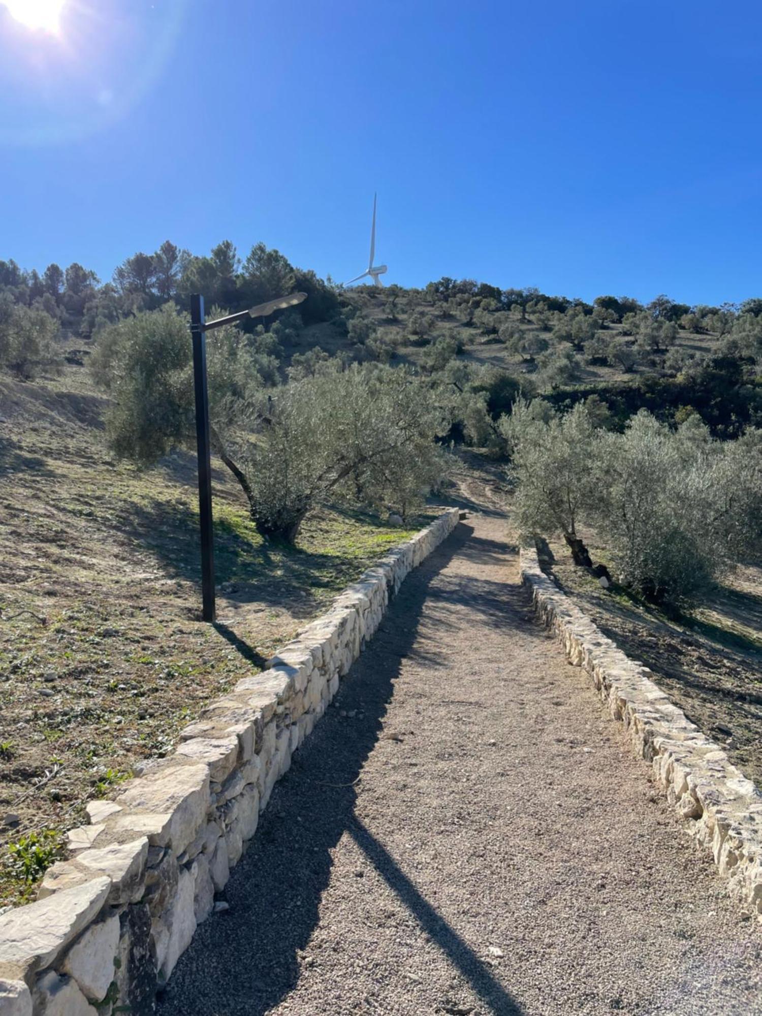Vina Zarzarrosa Osuna Exteriér fotografie